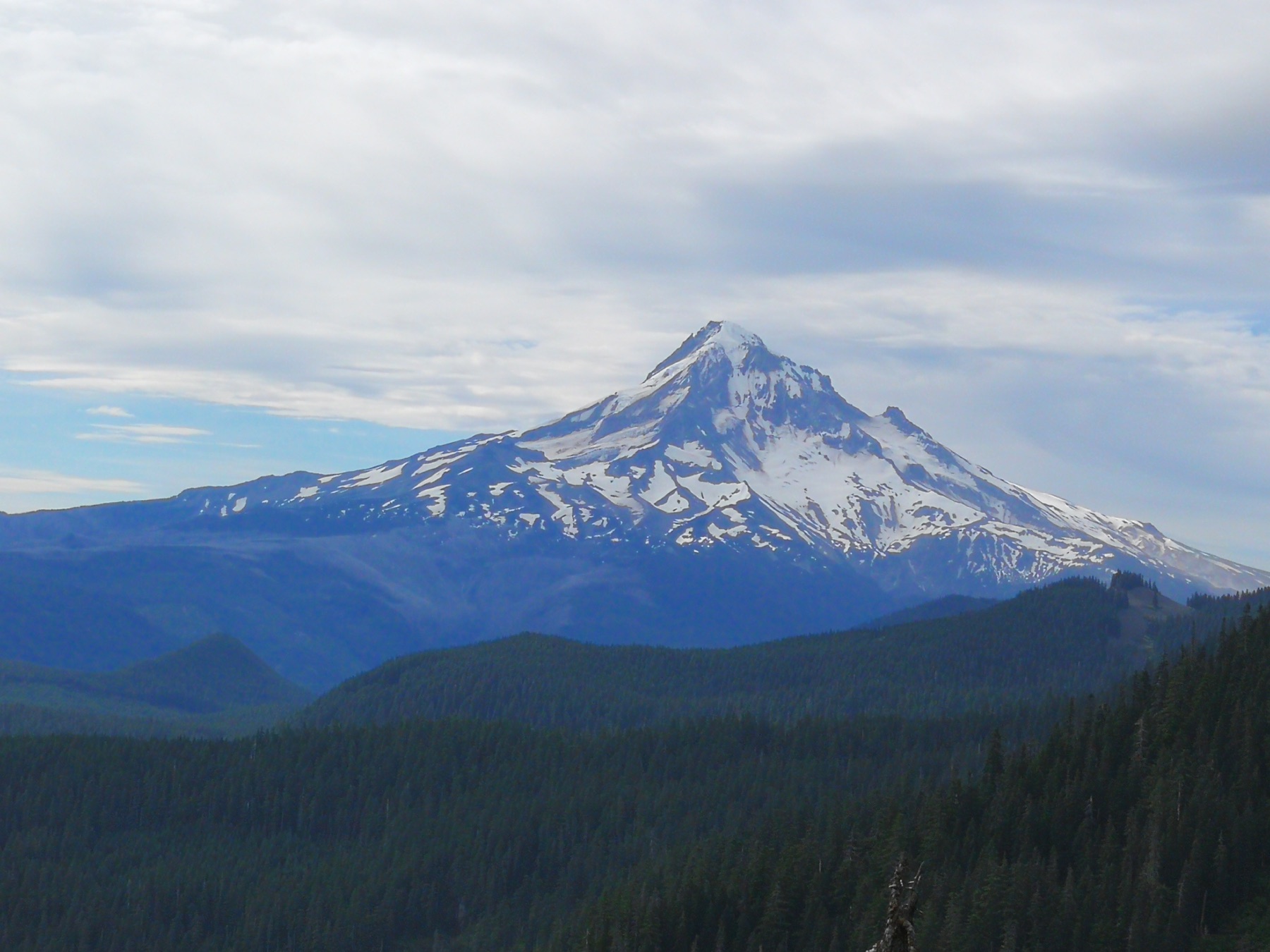 Zasněžená hora Mount Hood nad lesem na trase Pacific Crest Trail